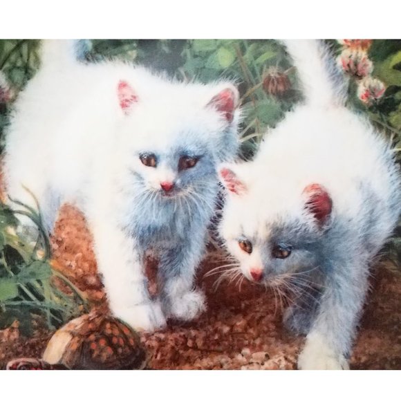 1987 Vintage "A CHANCE MEETING: WHITE AMERICAN SHORTHAIRS" Cat Collector's Plate - Picture 3 of 4